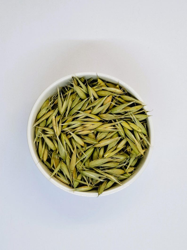 May include: A white bowl filled with dried oat groats, a type of whole grain.