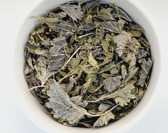 Organic Nettle Leaf Tea Bags – Caffeine Free Herbal Detox