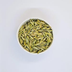 May include: A white bowl filled with dried oat groats, a type of whole grain.