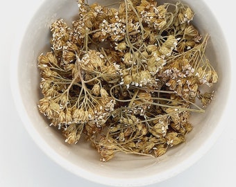 Yarrow Flower Herbal Tea – Organic Achillea Millefolium, Loose Leaf