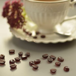 Fake Coffee Beans – Life Size Resin Coffee Beans for Crafts, Faux Food, Coffee Decor, Jewelry Making, Miniature Supplies