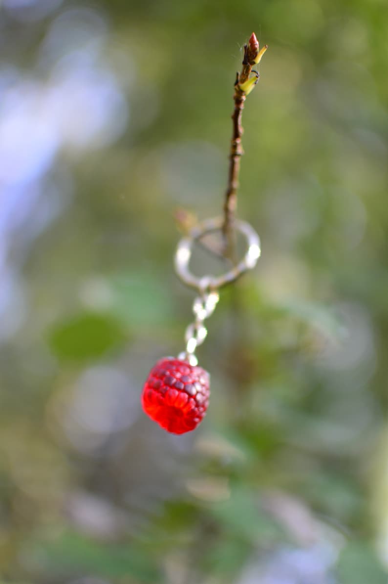 Handmade Polymer Clay Raspberry Keychain – Fruit Charm - Etsy