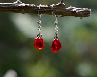 Handgemachte Granatapfel Ohrringe: Schmuck aus Polymer Clay, Edelstahl Haken