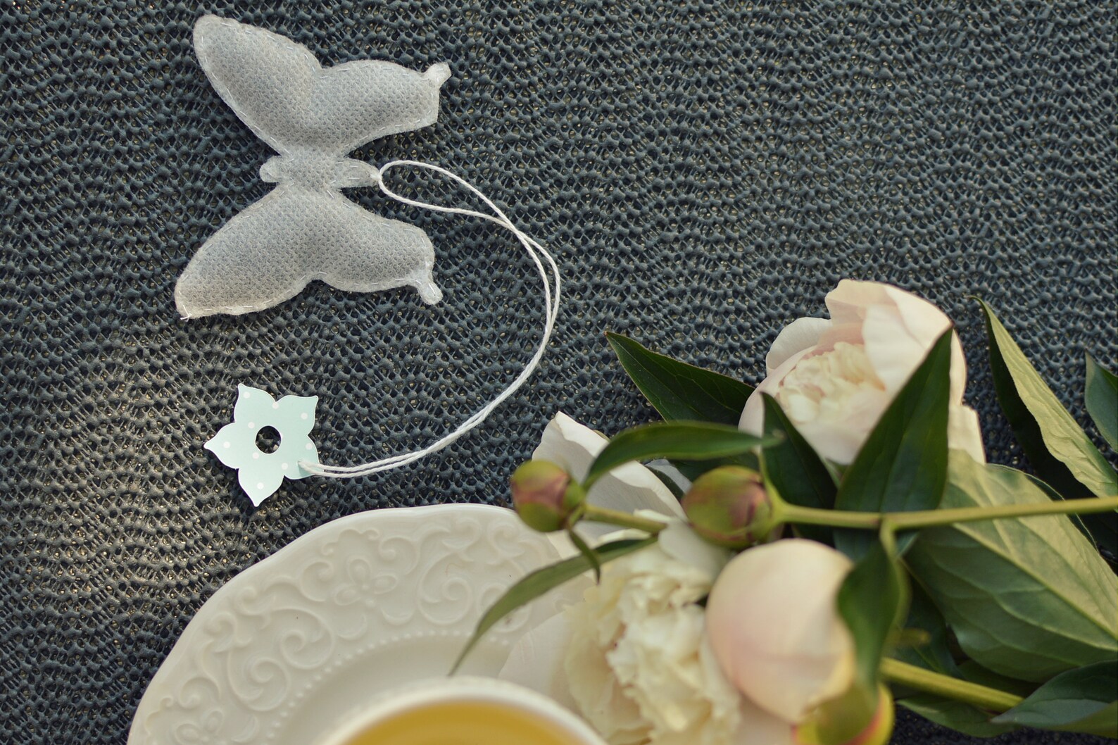 Bug Shaped Tea Bag 5 Peaces Assorted Shaped Tea Gift Box Box Etsy UK