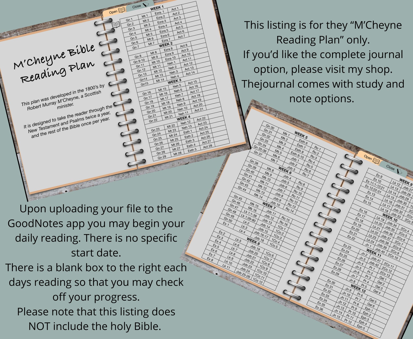 Yearly Reading Plan Goodnotes Mcheyne Reading Plan Daily Etsy