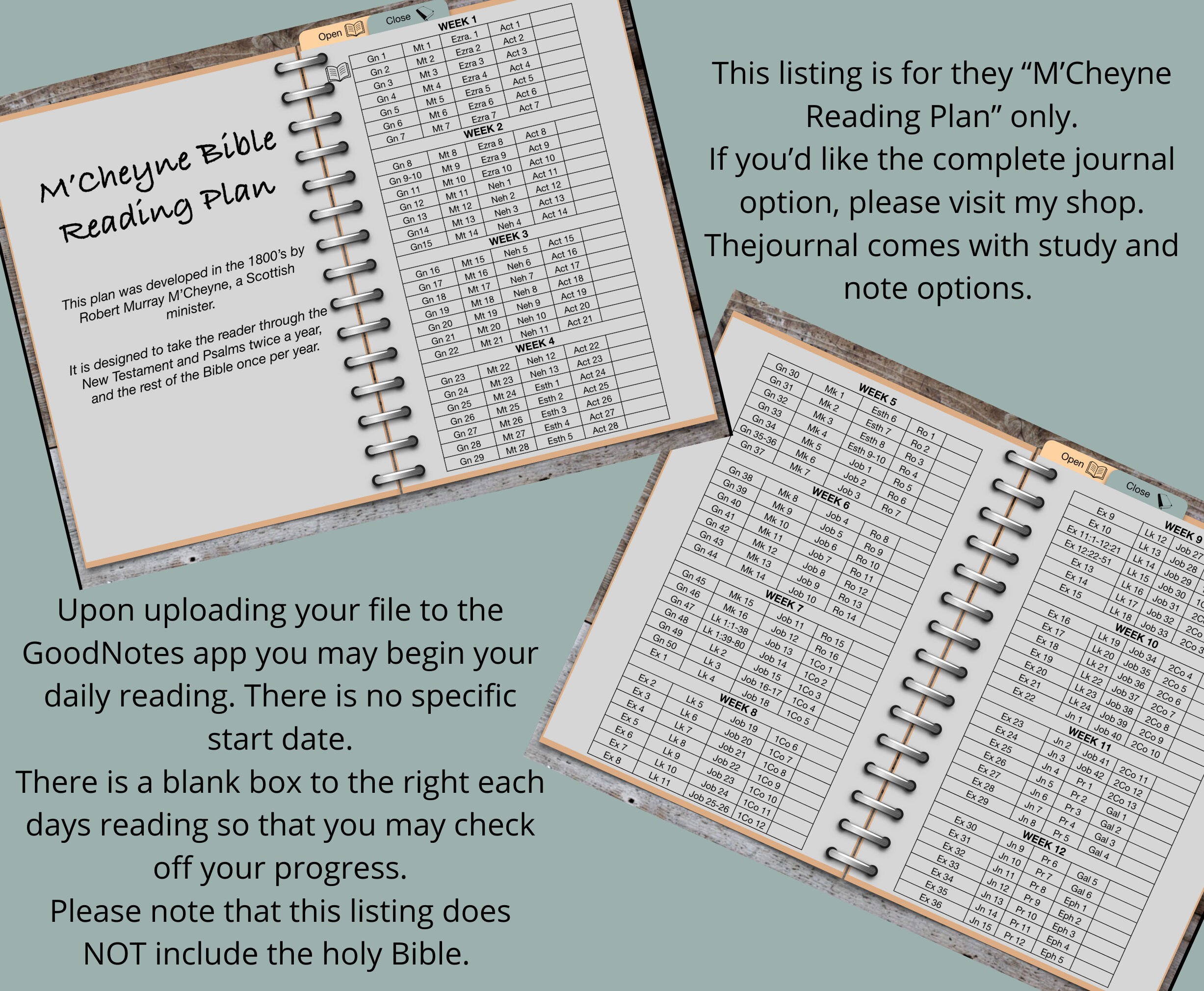 Hyperlinked Yearly Bible Reading Plan, Goodnotes, Mcheyne Reading Plan ...