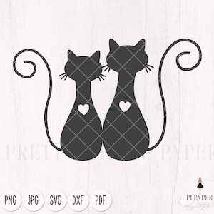 Cute cat svg, Cat cut file, cute cat couple cutfile, digital scrapbooking, cat cutting file, card making, delicate cat pet svg
