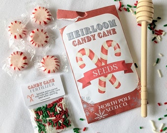 Candy Cane Gardening Kit  |  Candy Cane Seeds  | Elf Activity  | Candy Cane Plant