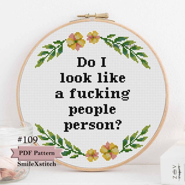 Rude cross stitch pattern or kit "Do I look like a people person" introverts funny wall hanging room decor gift subversive inappropriate