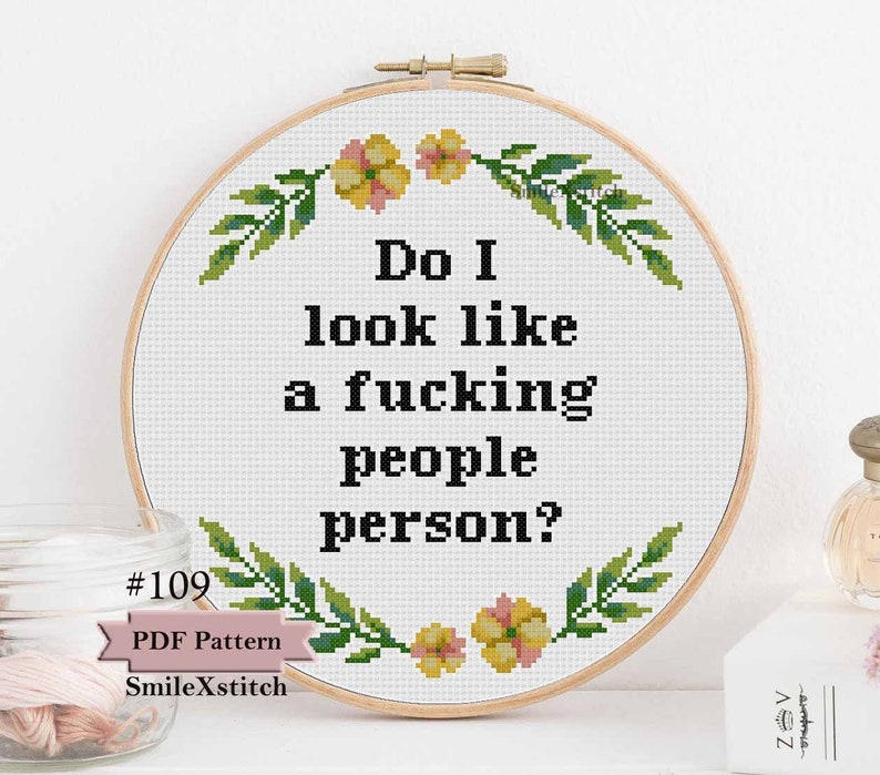Rude Cross Stitch Pattern or Kit do I Look Like a People Etsy