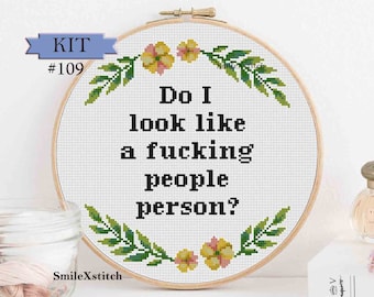 Rude cross stitch pattern or kit "Do I look like a people person" introverts funny wall hanging room decor gift subversive inappropriate