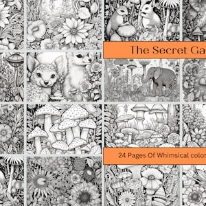 24 Printable Adult Coloring pages, Hi-resolution, black and white, 8.5x11 Whimsical, Fantasy, Fairytale, detailed, forest/Garden