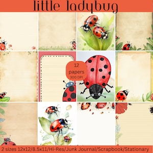 2 dimensioni: 12x12 e 8,5x11 coccinelle ad acquerello, documenti stampabili ad alta risoluzione Junk journal/Scrapbook/Stationary