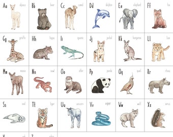 Animal Alphabet Flashcards - Etsy Animal Alphabet Flashcards - Etsy