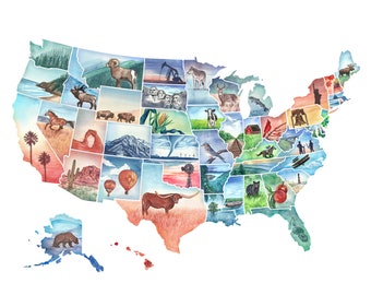 Puede incluir: Una pintura de acuarela del mapa de los Estados Unidos, con cada estado representado por una imagen diferente. Las imágenes incluyen una variedad de monumentos emblemáticos, animales y características naturales. El mapa está pintado en una variedad de tonos de azul, verde y rojo.