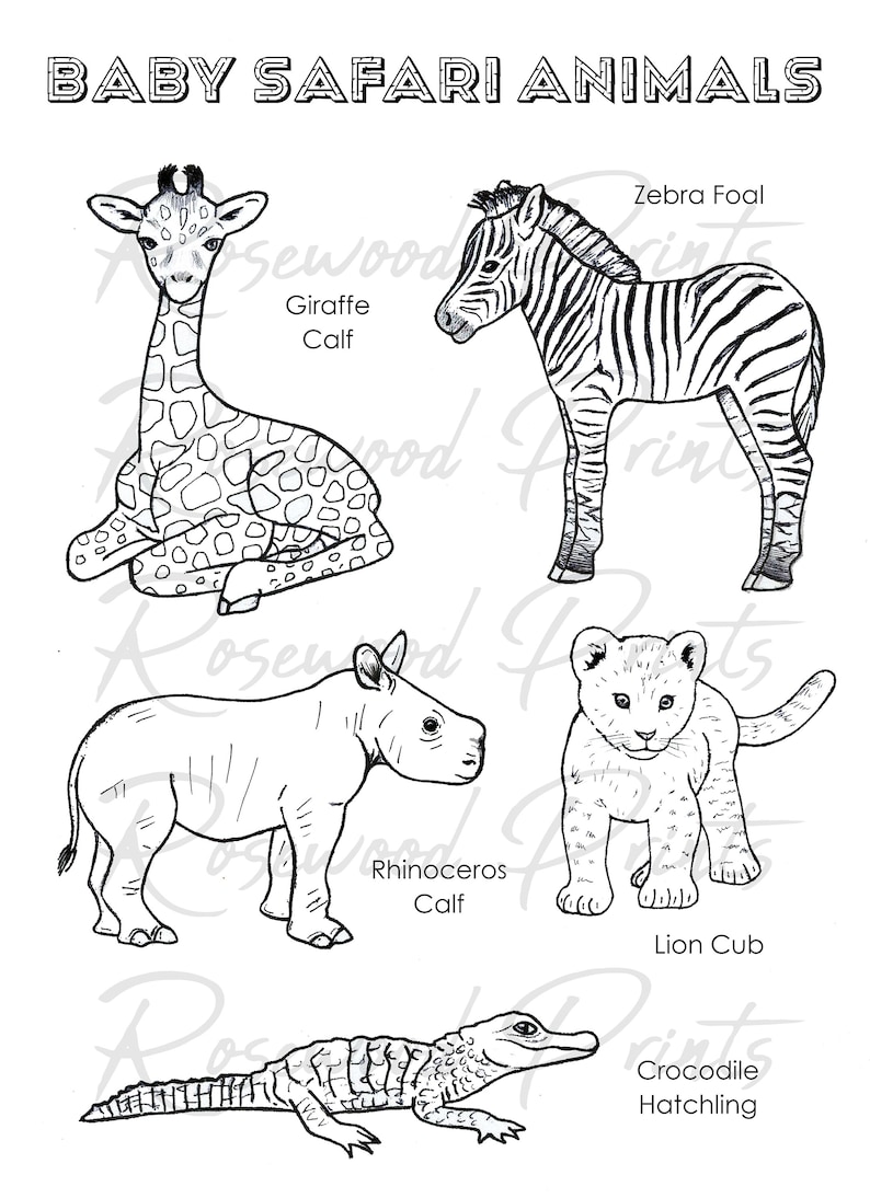 Baby Safari Animals Coloring Pages Etsy