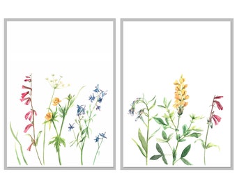 Utah Wildflower Print Set