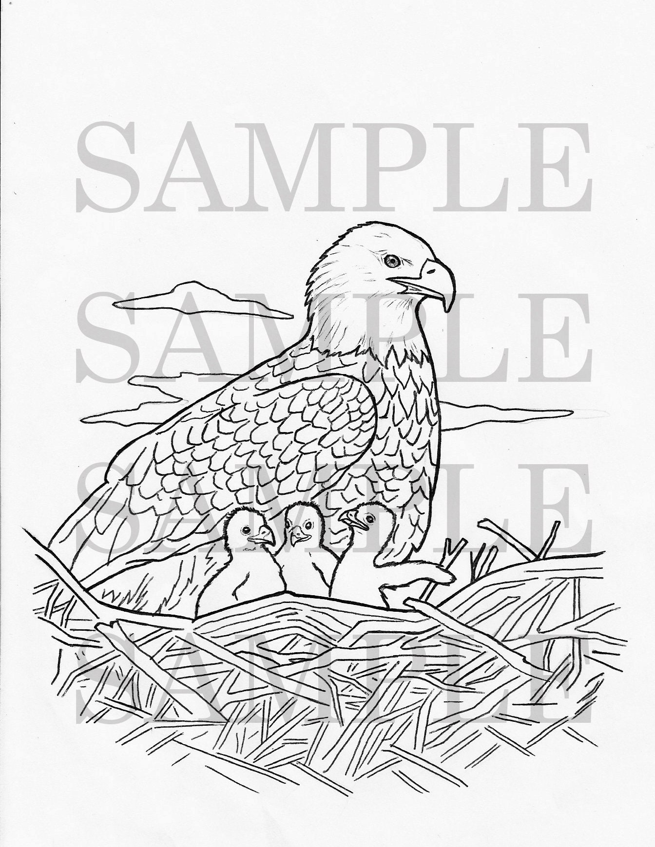 Wild Animal Coloring Pages - Etsy