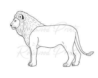Lion Coloring Page