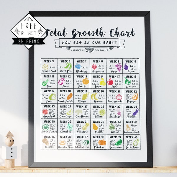 How Big Is Baby | Week by Week Baby Growth Chart | Pregnancy Bump Poster 18x24" | Bump to Baby Development Chart | Pregnancy Art | Baby Size