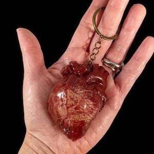 Anatomical heart Keychain, anatomical heart, morbid anatomy, heart keychain, oddities and curiousities, horror keychain, body parts