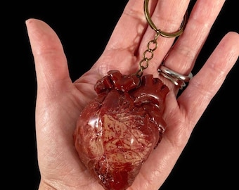 Anatomical heart Keychain, anatomical heart, morbid anatomy, heart keychain, oddities and curiousities, horror keychain, body parts