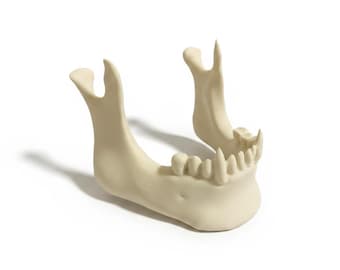 Vampire jaw business card holder, corporate goth, corporate vampire, jaw phone holder, skull office accessories