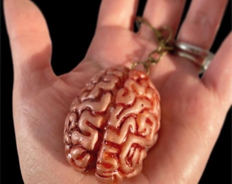 Brain Keychain, brain accessories, morbid anatomy, brains keychain, oddities and curiousities, horror keychain, body parts, zombie keychain