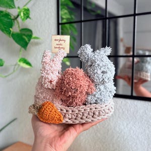 Könnte beinhalten: Eine handgefertigte Häschenfamilie aus Häkelarbeit in einem geflochtenen Korb. Die Häschen sind in Rosa-, Pfirsich- und Grautönen gehalten, mit einer kleinen orangefarbenen Karotte. Ein kleines Schildchen trägt die Aufschrift "everything needs somebunny."