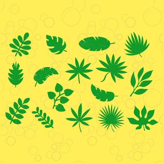 Download Jungle Tropical Leaves Svg Cut Files For Cricut Silhouette Etsy