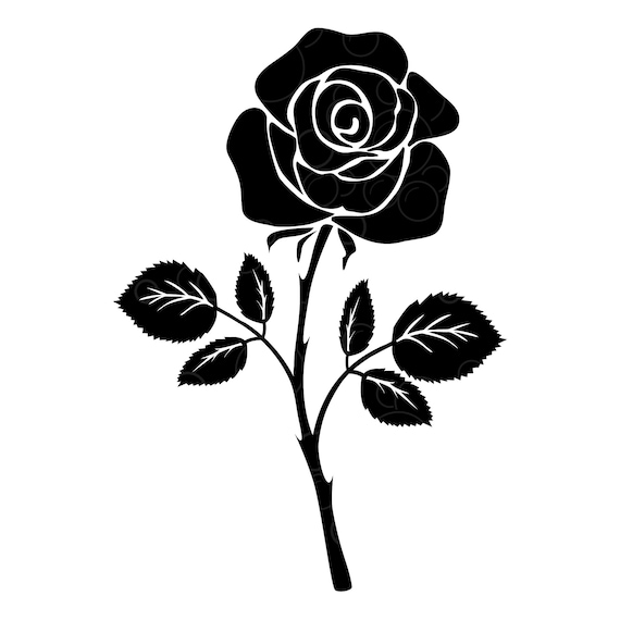 Roses vector, roses logo, Roses vine Flower SVG, Rose file for cutting Svg, Flower  SVG, Roses bush SVG, Rosevine Svg, Vinyl Iron On, Cricut, Silhouette, Vinyl  Decal - Buy t-shirt designs
