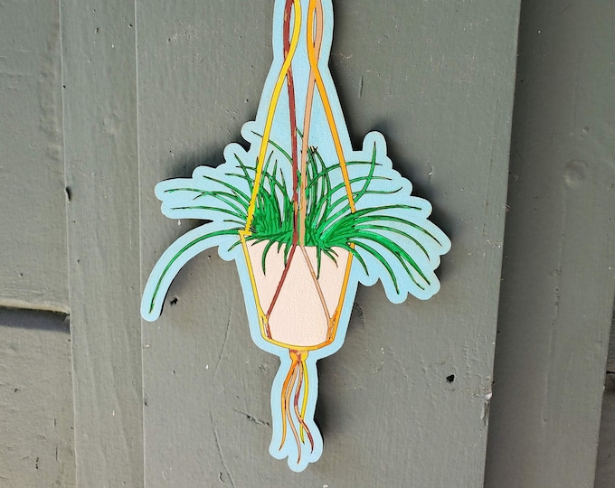 Paint Your Own: Hanging Plant