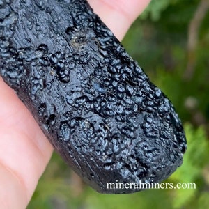 Large Natural Indochinite Tektite, Rare Natural Tektites Wand, Tektites, 5&quot; long Raw Tektites Crystal, Meteorite Debris, Natural Glass