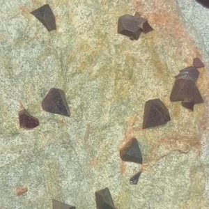 Magnetite Crystals in Schist Matrix, Magnetite, Octahedral Magnetite Rock Specimen, Magnetite Crystals, Natural Magnetite Decorator Crystal