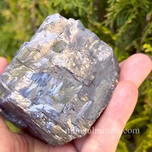 May include: A hand holds a large, metallic gray mineral specimen. The surface of the mineral has a crystalline structure with reflective facets. The background is blurred green foliage. The website address "mineralminers.com" is visible in the lower right corner.