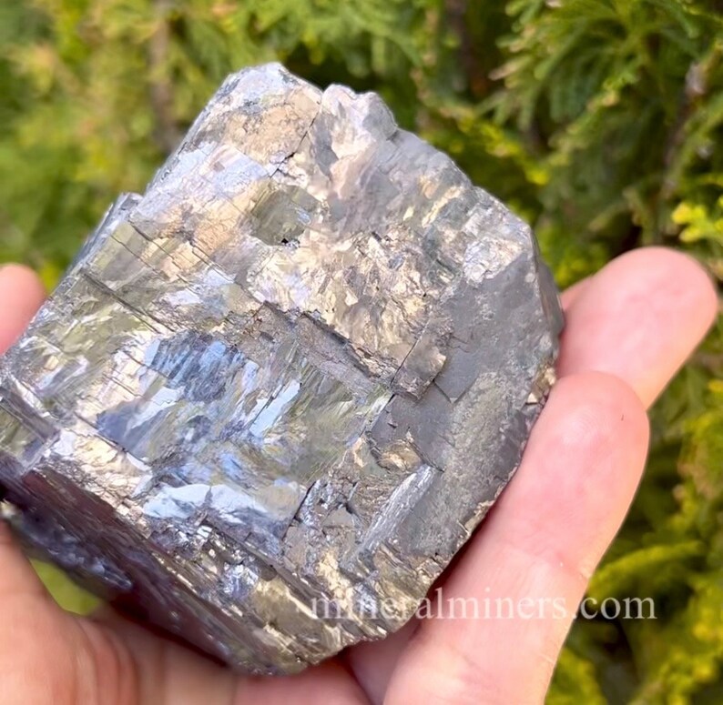 May include: A hand holds a large, metallic gray mineral specimen. The surface of the mineral has a crystalline structure with reflective facets. The background is blurred green foliage. The website address "mineralminers.com" is visible in the lower right corner.