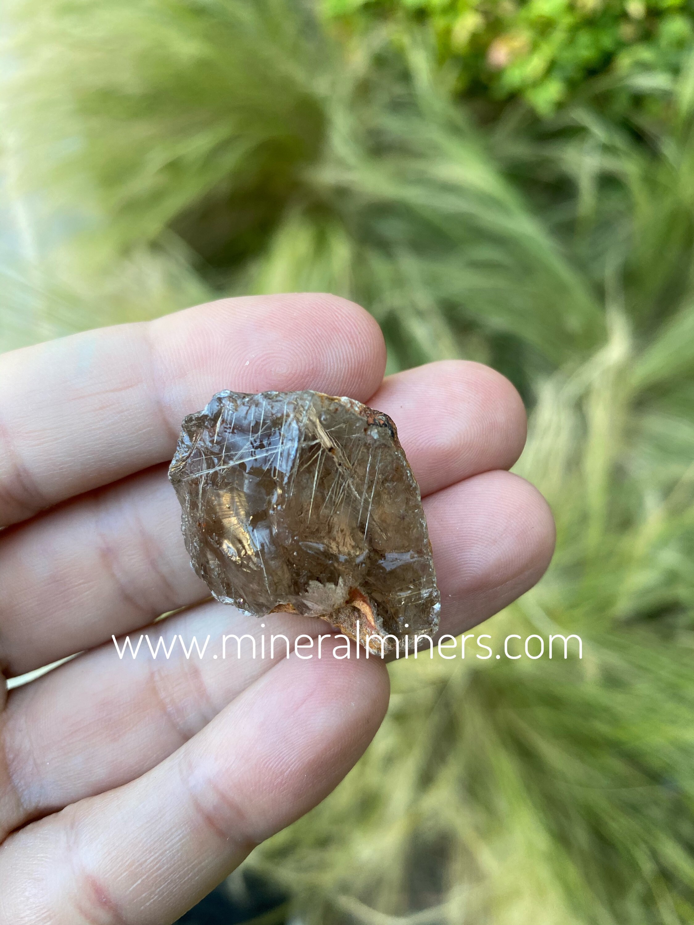 High Quality Rutilated Quartz Pieces Rutilated Quartz Raw Etsy
