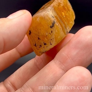 May include: A close-up of a round, amber-colored gemstone with black inclusions. The gemstone is being held in a hand.