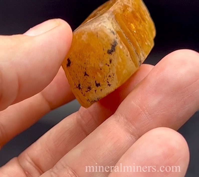 May include: A close-up of a round, amber-colored gemstone with black inclusions. The gemstone is being held in a hand.
