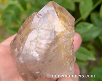 Puede incluir: Un cristal de cuarzo transparente con doble terminación e inclusiones de rutilo dorado. El cristal mide aproximadamente 5 cm de alto y tiene una superficie natural y rugosa.