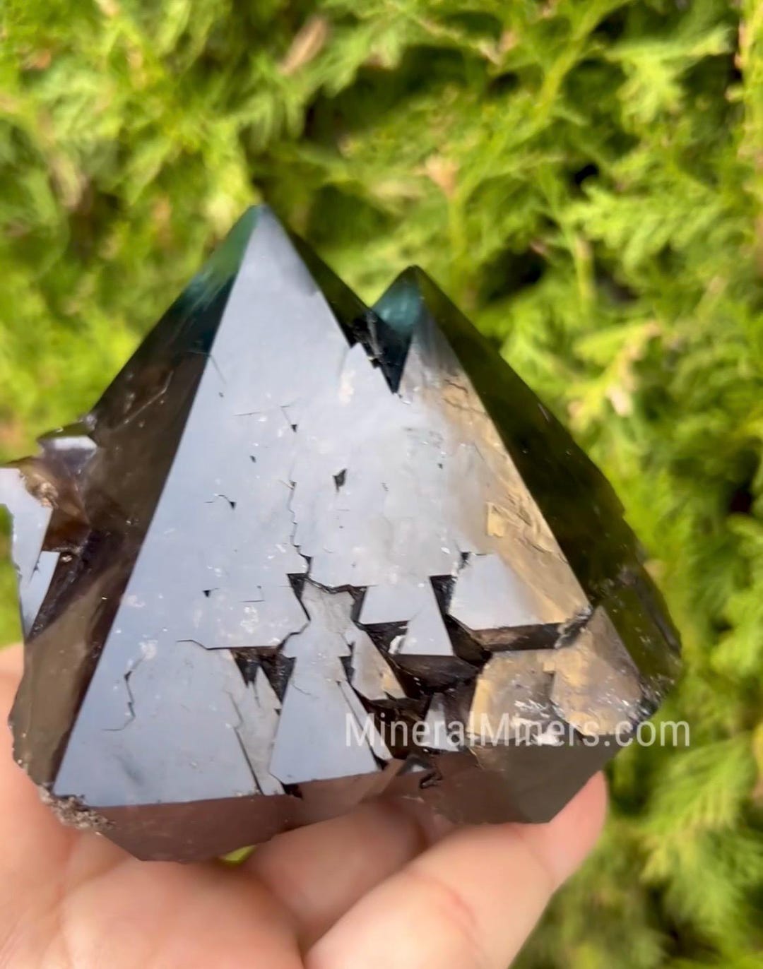 Pyramidal Quartz Black Quartzoid Specimen, Natural Crystal, Pyramidal Terminated Quartz ...