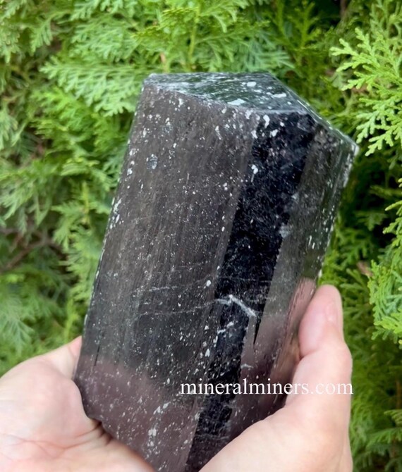 Large Black Tourmaline Crystal 7 Inch Long Black Tourmaline Negativity Blocker Stone Home Decor Tourmaline Natural Terminated Tourmaline Etsy