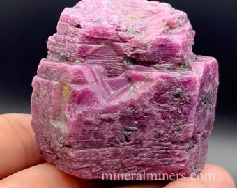 Raw Ruby Crystal, Untreated Ruby, Karnataka Ruby Crystal, Collector Terminated Ruby Crystal. 1262 carats Translucent Ruby Crystal Specimen