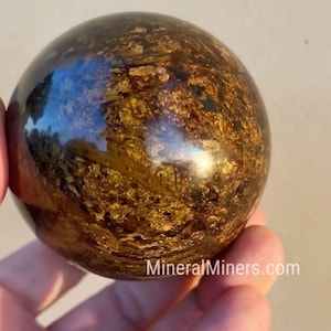 May include: A polished, spherical gemstone with a swirling pattern of brown and gold hues. The surface reflects light, creating a glossy appearance. The website MineralMiners.com is visible on the bottom right.