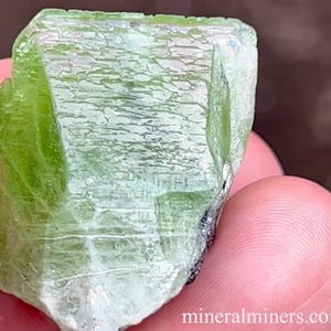 Raw Peridot Crystal,101 carats Peridot Crystal, Natural Terminated Peridot Crystal, Green Peridot Specimen, Unique Peridot Collector Mineral