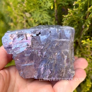 May include: A large, iridescent mineral specimen with a metallic sheen. The rock displays shades of gray, purple, and blue, with a rough, textured surface. The mineral is held in a hand, with a green, leafy background.