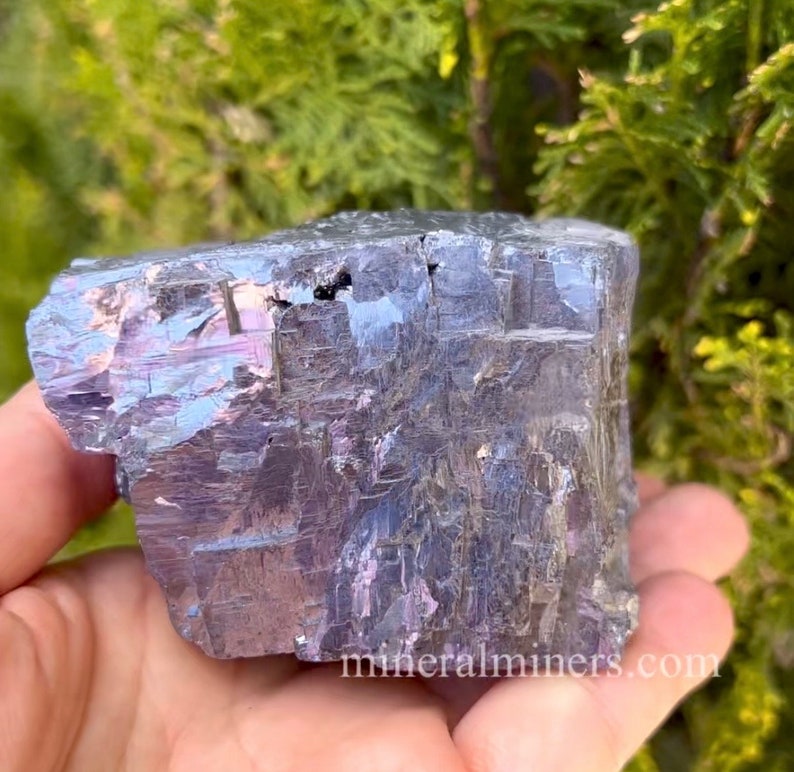 May include: A large, iridescent mineral specimen with a metallic sheen. The rock displays shades of gray, purple, and blue, with a rough, textured surface. The mineral is held in a hand, with a green, leafy background.