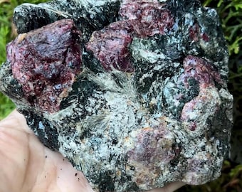 Almandine Garnet in Matrix, Natural Garnet in Matrix, Itabira Mine Gem, Raw Garnet in Matrix,  Decorator Garnet Crystal, Collector Red Rock