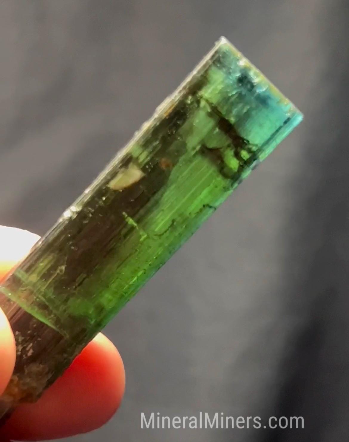 Cristallo di tormalina blu-verde, cristallo di tormalina da 95 carati, cristallo di tormalina bicolore da collezione con punta blu, esemplare di tormalina