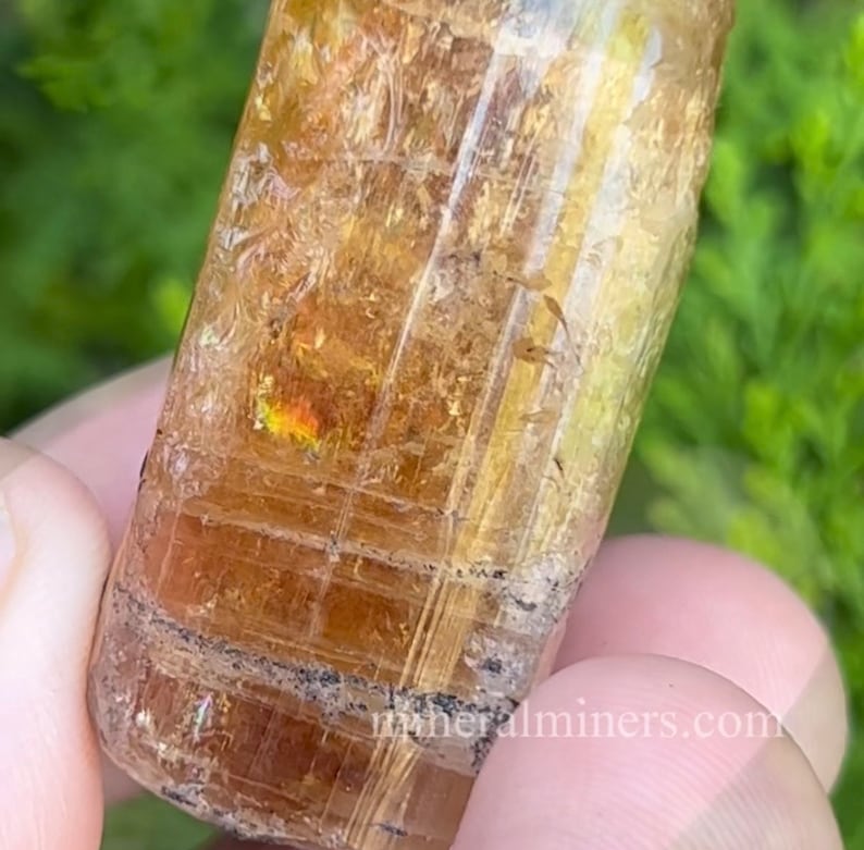 May include: A golden brown, faceted, and translucent crystal with striations and a slight iridescent sheen. The crystal is approximately 2 inches long and is held in a hand.